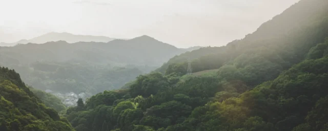 誇高KOKOH